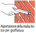 Giunti